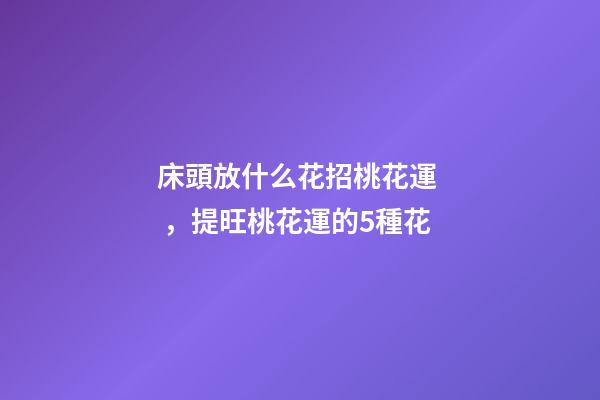 床頭放什么花招桃花運，提旺桃花運的5種花